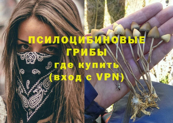 гидропоника Беломорск