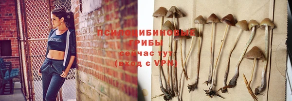 гидропоника Беломорск
