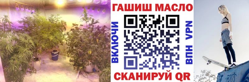 ТГК концентрат  кракен ТОР  Югорск 